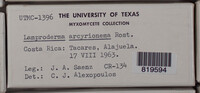 Image Associated With the Occurence